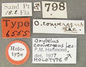 Media type: image;   Entomology 6555 Aspect: labels